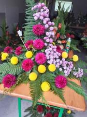 122852007_10221563716576564_114818336592386645_n