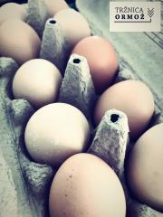 117289488_10220976518136970_5487880879950204927