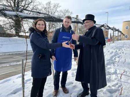 421920888_361245183294148_6316480479509633787_n