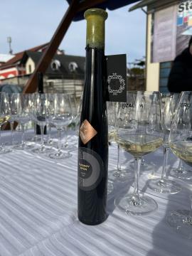 421860670_361245299960803_2366991702024542761_n