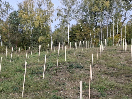 20251024_115138_resized