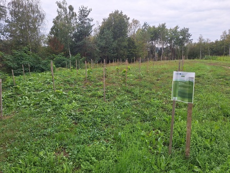 20251002_090332_resized