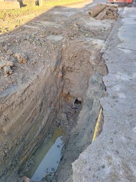 20250129_083751_resized